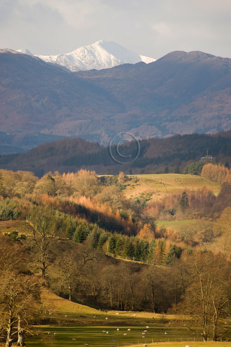 Scottish Landscape