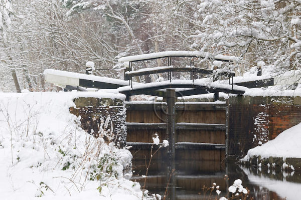 Winter Lock
