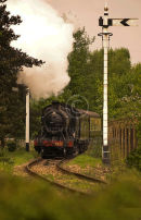 Branch Line