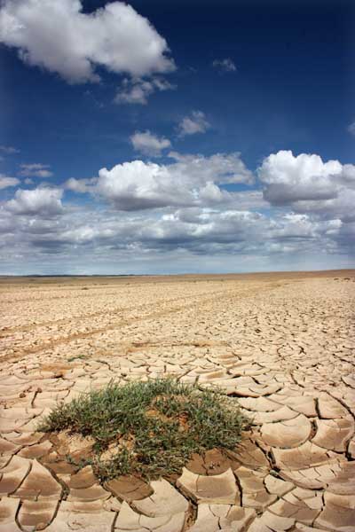 Parched, Mongolia