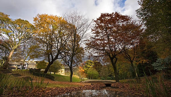 The Enchanted Wood