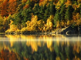 Reflections of Autumn 1.