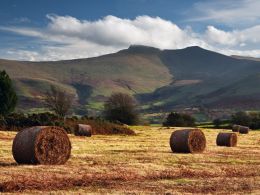 Pen y fan and Corn Du 1.