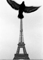 Paris, not London