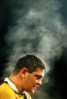Steaming Wallaby