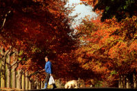 Autumn, my neighborhood