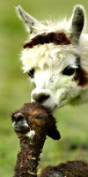 10 minutes old