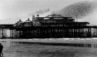 The West Pier, Brighton