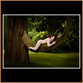 Treehugger
