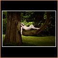 Upon a Bough