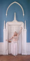The Harem Door