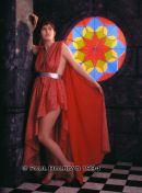 The Window