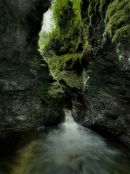 Lydford Gorge