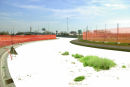 Pure Floor #3 (2009)