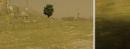 TRAINED LANDSCAPE #3 (2007)