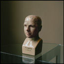 Karl Phrenology Head