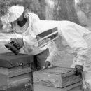 Ken and Rosemary Key  Beekeepers
