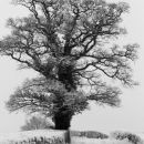 Road to Raglan Castle 