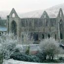 Tintern Abbey