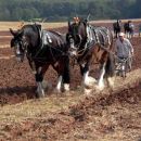 Welsh Ploughing Championship