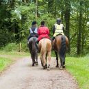 Horse Trail Whitestone