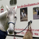 Whitestone Horse Trail Launch