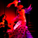 Viva Flamenco