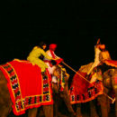 Playing Elephant Polo
