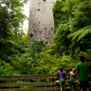 'Tane Mahuta'