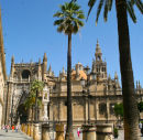 Seville Cathedral