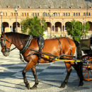 Plaza de Espana
