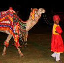 Camel Boy