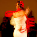 Spinning Flamenco Dancer