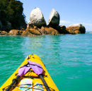 Purple Paddles