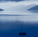 Blue Dawn