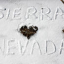 I Love Sierra Nevada