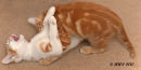Stop It That Tickles!
