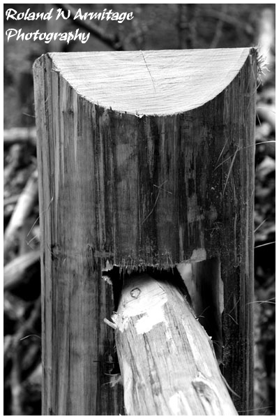 Woodland Gate Post