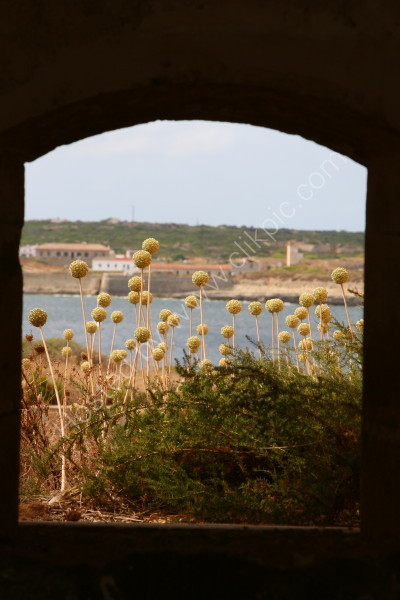 La Mola Window 1 - Menorca