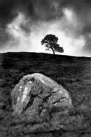 Between a Rock and a Hard Place - Scolty Hill 