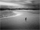 Downpour - Dunnet Beach