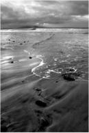 In The Surf - Benbecula