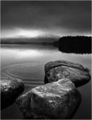 Ripples - Loch Garten