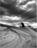 Shifting Sands - Newburgh