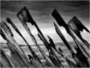 Snow Fence - Kinbrace