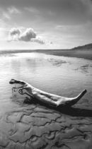 "Stranded" - St Cyrus