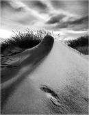  Perfect Dune? - Newburgh