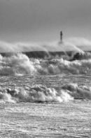 Whitehorses #1