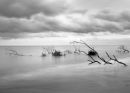 Submerged