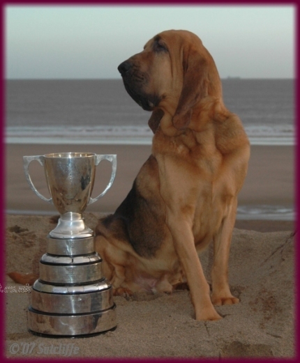 Travis with the cup for winning the ABB Trials Novice Stake